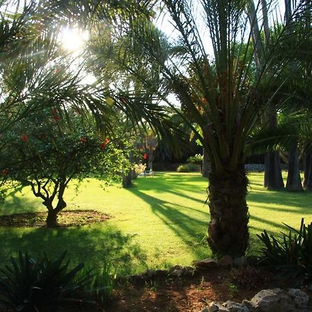 Finca Hotel Predio Son Serra Can Picafort  Dış mekan fotoğraf