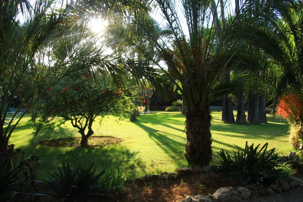 Finca Hotel Predio Son Serra Can Picafort  Dış mekan fotoğraf